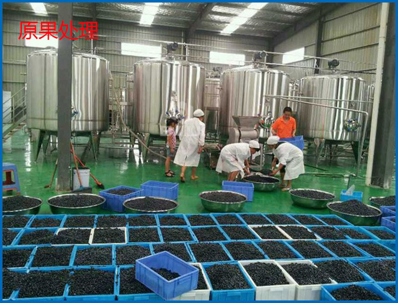 定制蔓越莓果酱成套生产设备 中型果泥加工生产线设备